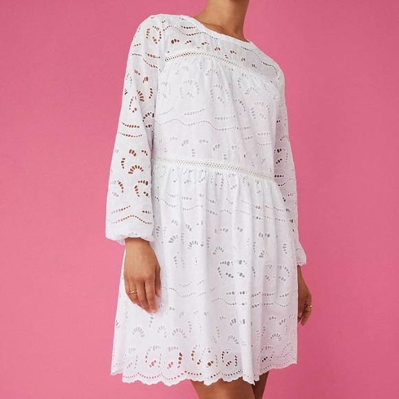 NWOT Eyelet Long Sleeve Swing Dress
Size Large Petite - Picture 1 of 9